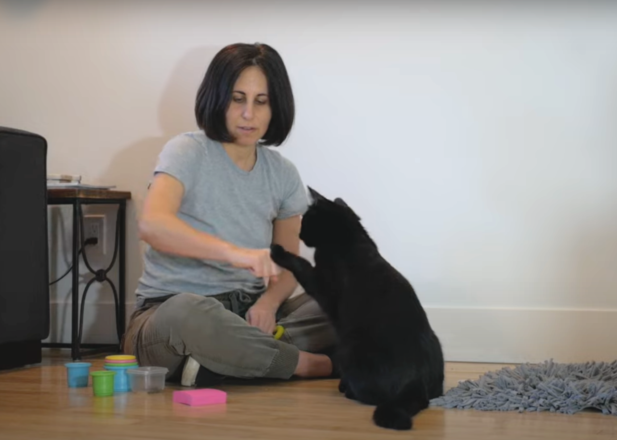 woman teaching the cat fist bump to a black cat